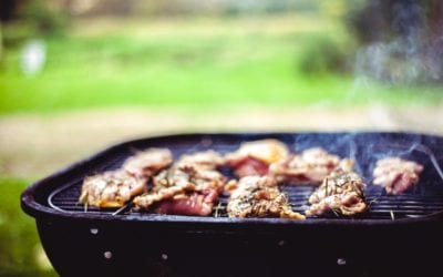 Feeding Your Pet Safely During Your Barbecue