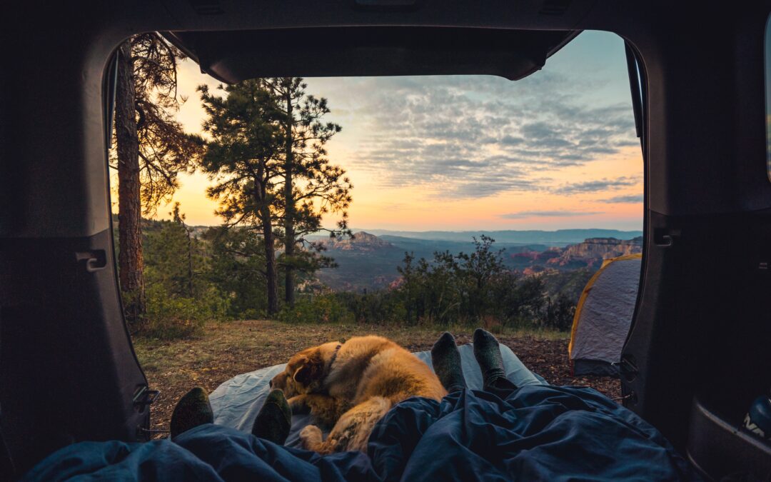 Pet Owners’ Camping Safety Tips