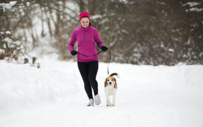 Winter Pet Safety Guide: Navigating January Hazards